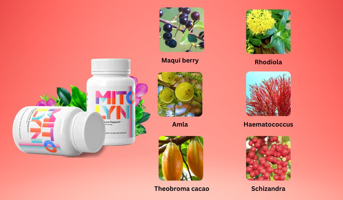 Ingredients In Mitolyn