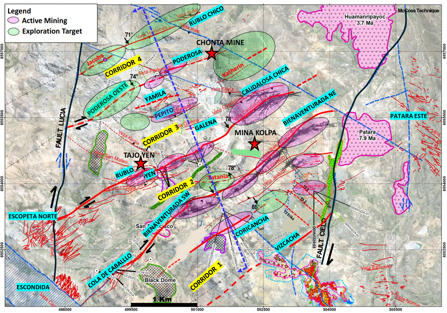 Figure 1 image
