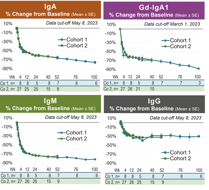 Zigakibart produced rapid and sustained reductions in IgA and Gd-IgA1, the pathogenic variant of IgA nephropathy