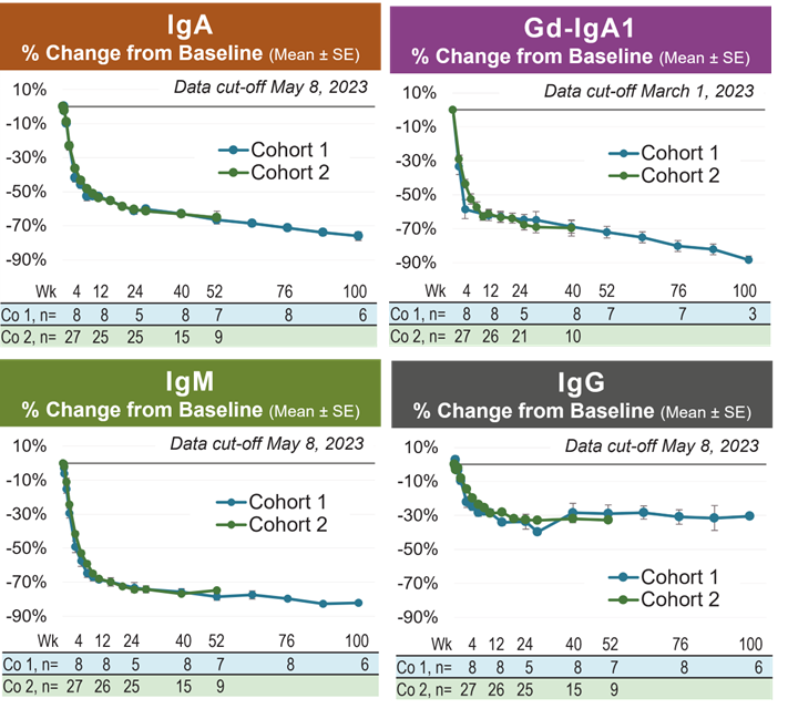 Zigakibart Treatment Results in Rapid and Sustained Reductions in IgA and Gd-IgA1 in Patients with IgA Nephropathy