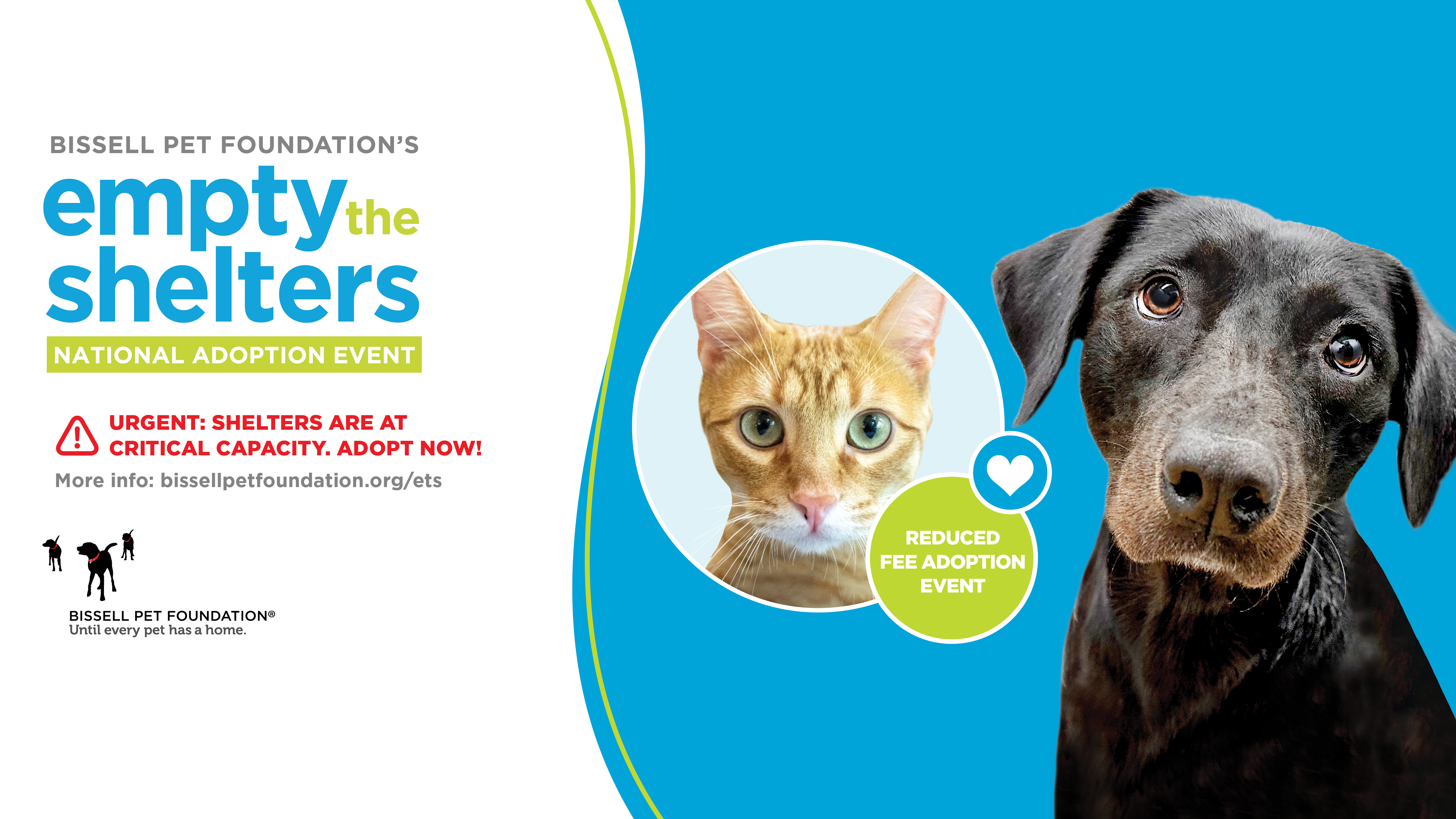BISSELL Pet Foundation's Fall National Empty the Shelters
