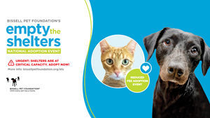 BISSELL Pet Foundation's Fall National Empty the Shelters