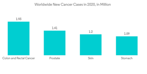 Active Pharmaceutical Ingredients Cdmo Market Worldwide New Cancer Cases In 2020 In Million