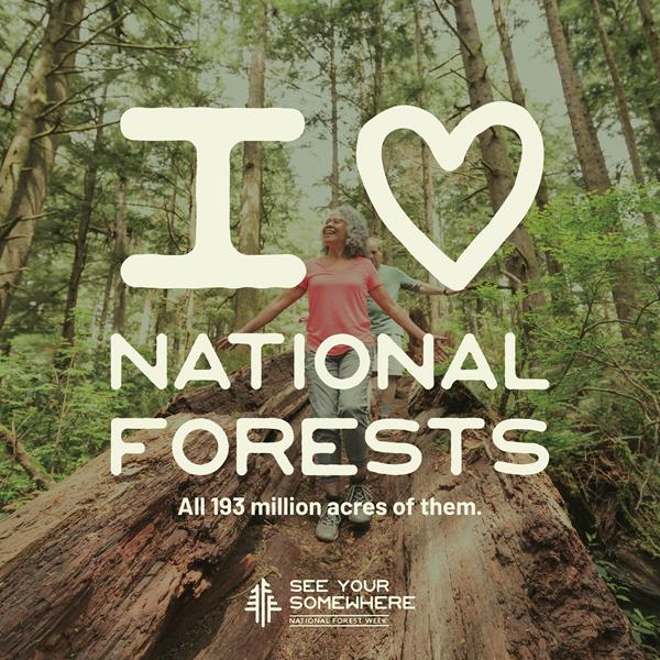 National Forest Week