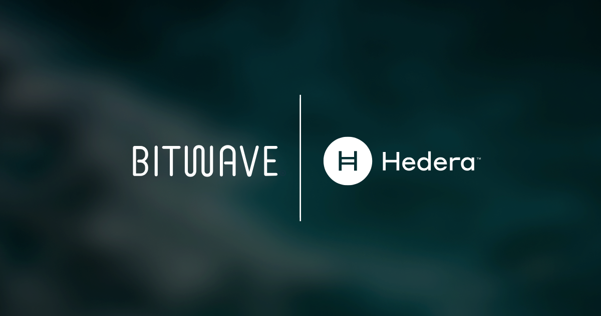 Bitwave and Hedera Collaboration
