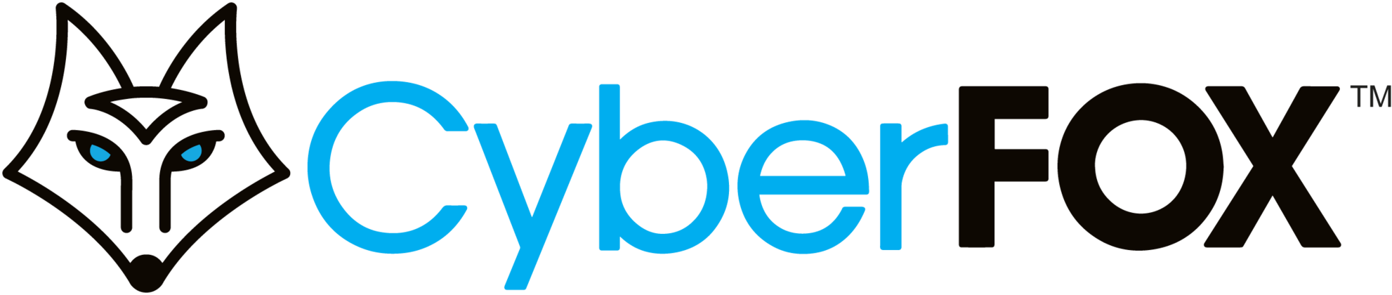 CyberFOX-Horiztonal-Blue_(1)-c66f2f1a-28e2-4305-a75f-3ba7a6558ead.png