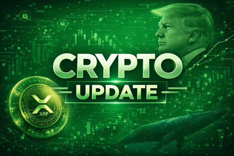 Pepeto Presale Demand Hits New Highs – XRP Crashes to Pre Trump Election Levels as 15% Tariff Wipes $4 Billion From Crypto ETFs