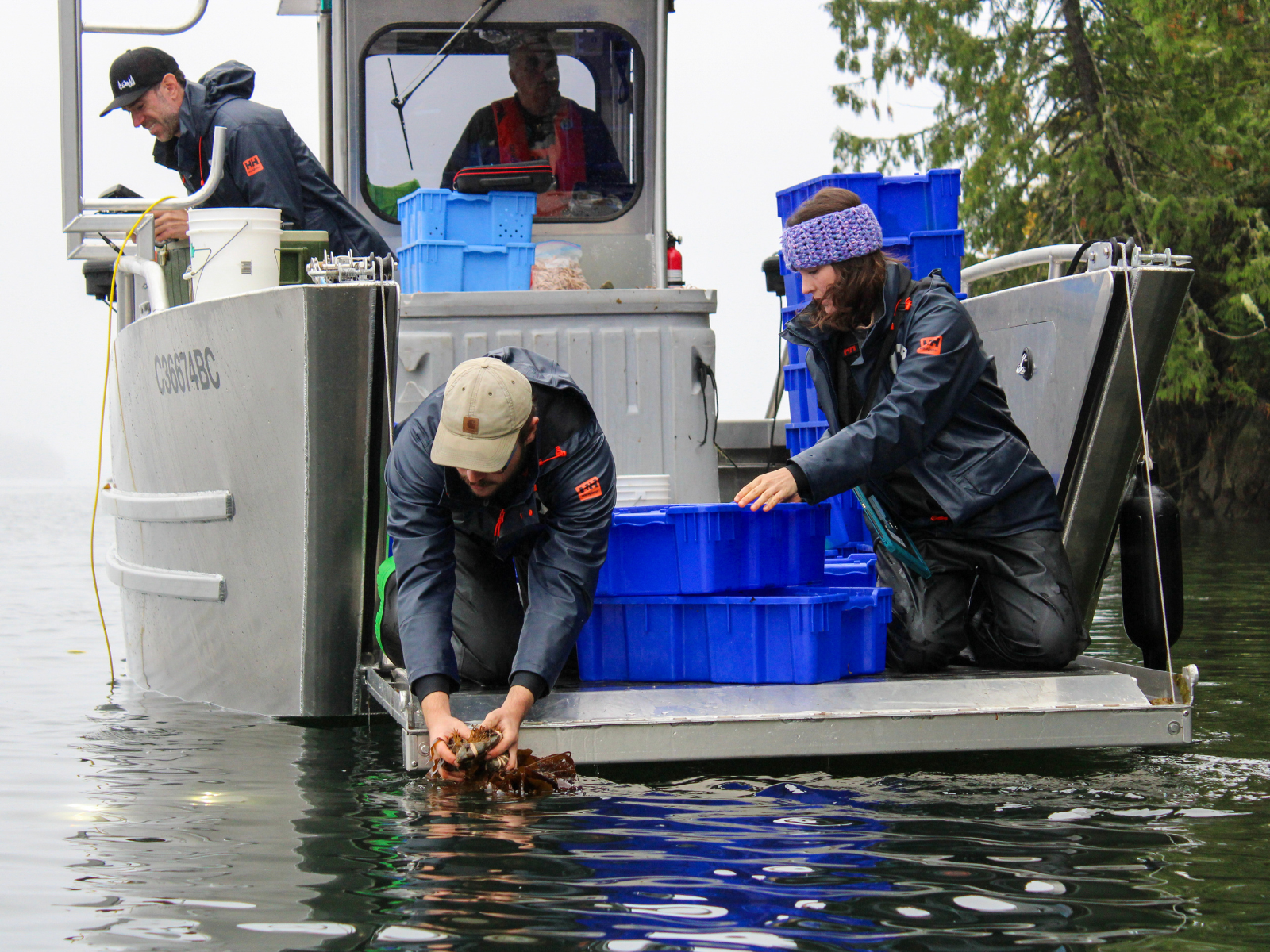 Kelp Forest Monitoring Guidebook Launch Image 3