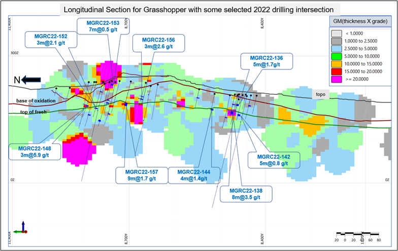 Longitudinal Section of Grasshopper showing selected drill intercepts.