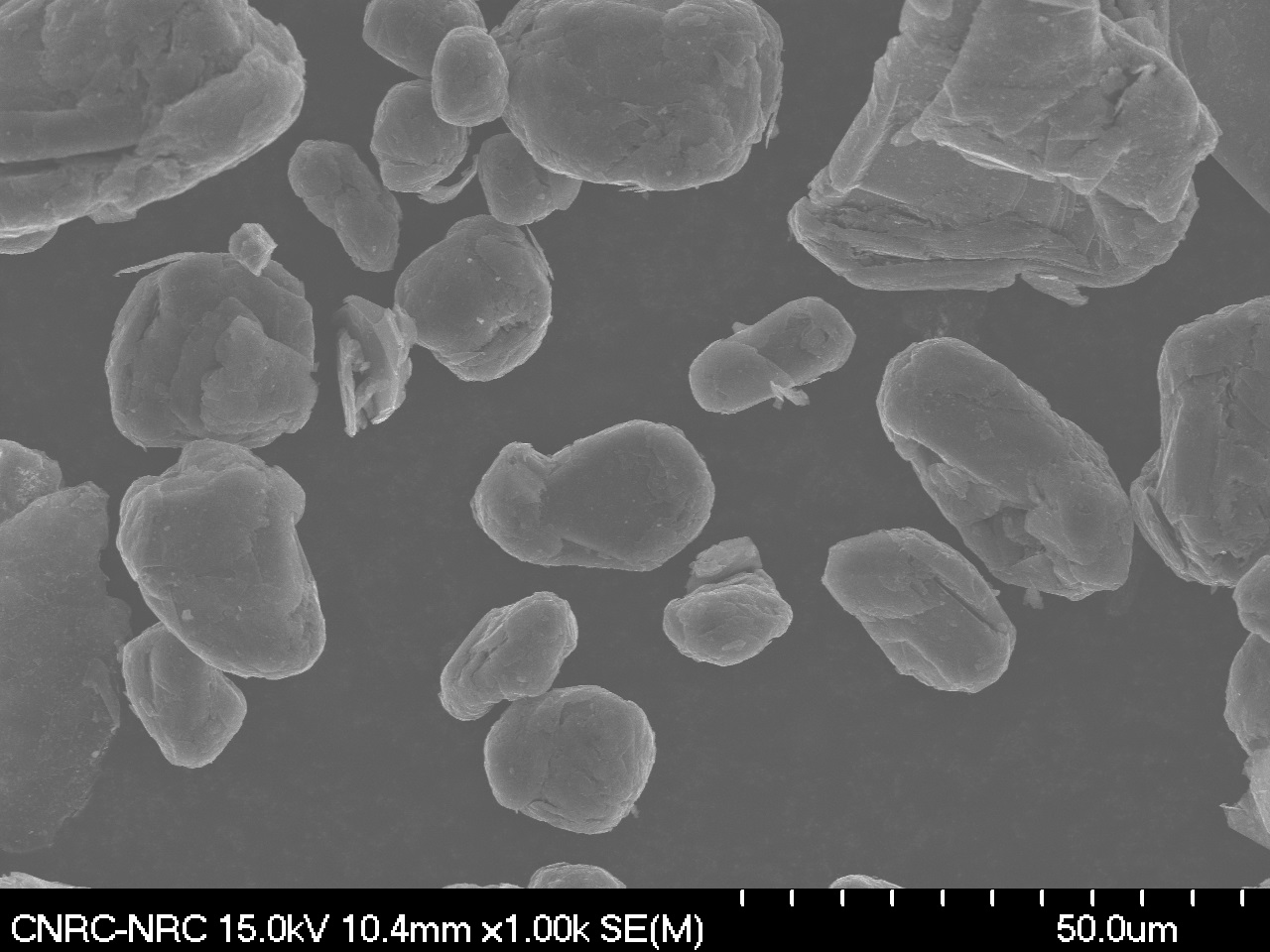 20_02_26 NMG_S1_1kx_01