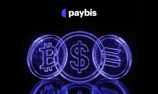 Paybis Releases New Data Showing B2B Payments Now Dominate Stablecoin Volume