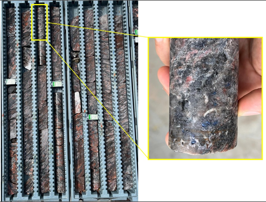 Figure 2 image