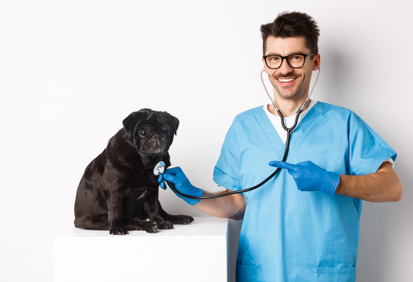 SignalPET