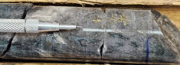 Figure 1. Visible gold showing in hole MM25D-12-4860-031 at 50.05m downhole  image