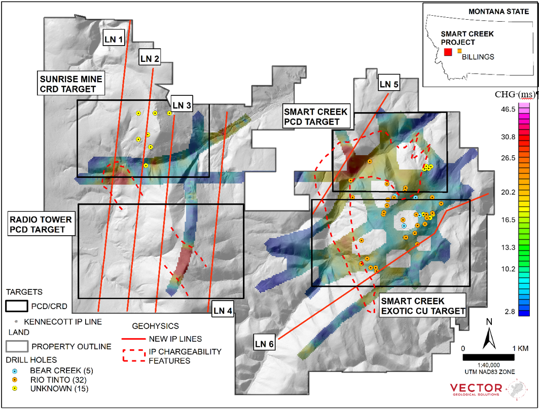 Figure 1 image