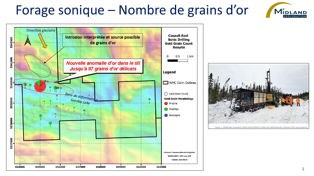 Figure 2 Forage sonique-nombre de grains d'or