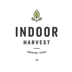 Indoor Harvest Bindi