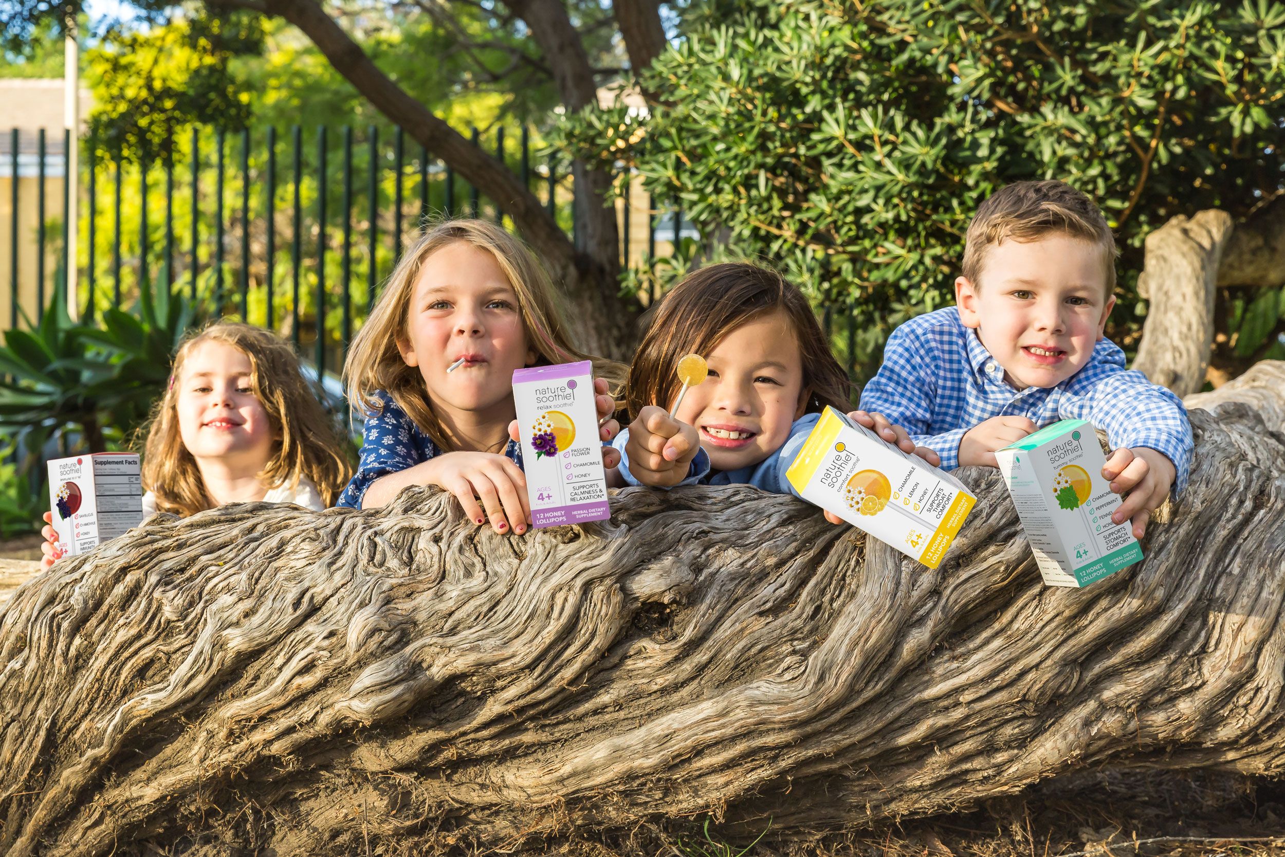 Nature Soothie - LOLLIPOPS!