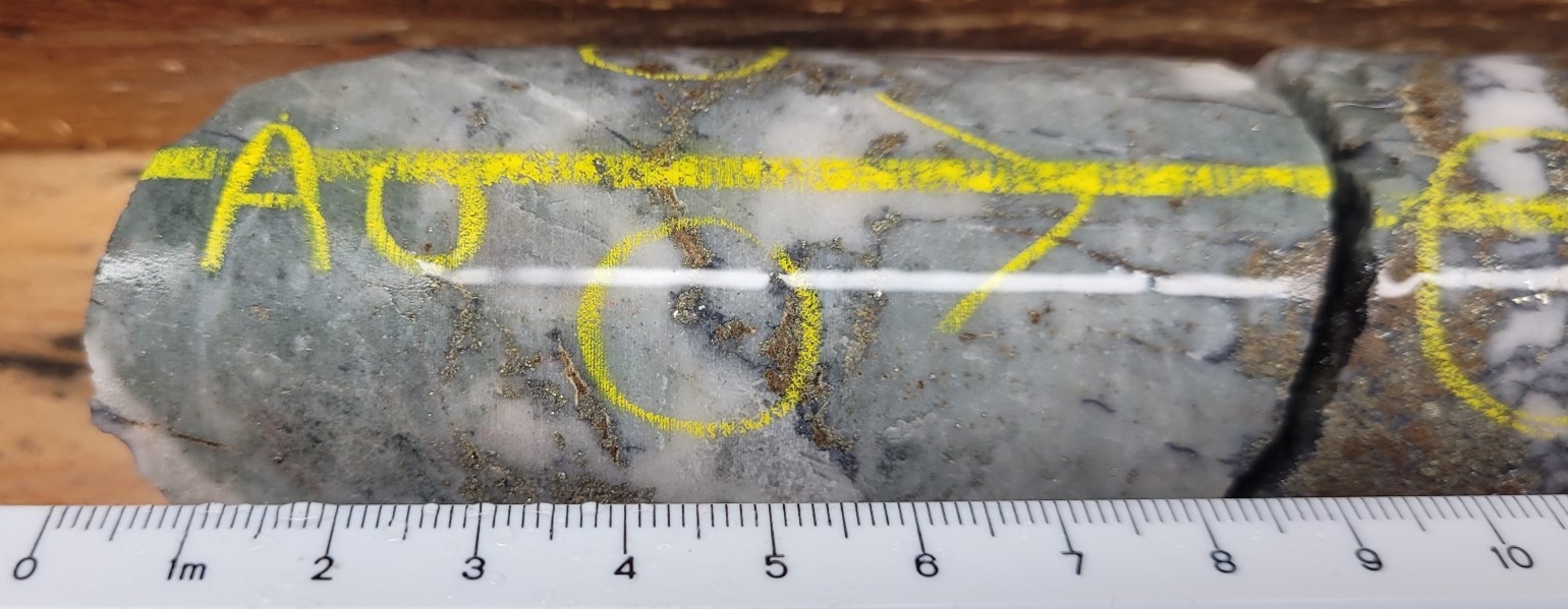 Visible gold in hole P23-2480, with a corresponding assay result of 55 g/t gold over 1.0m