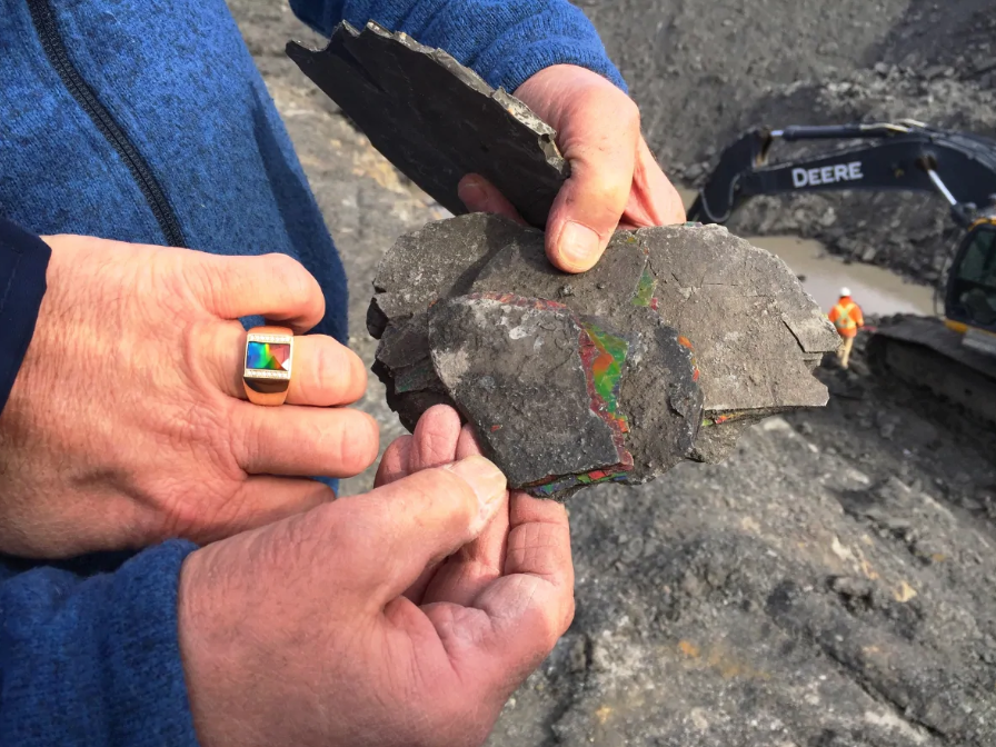 Ammolite - Sample Rock