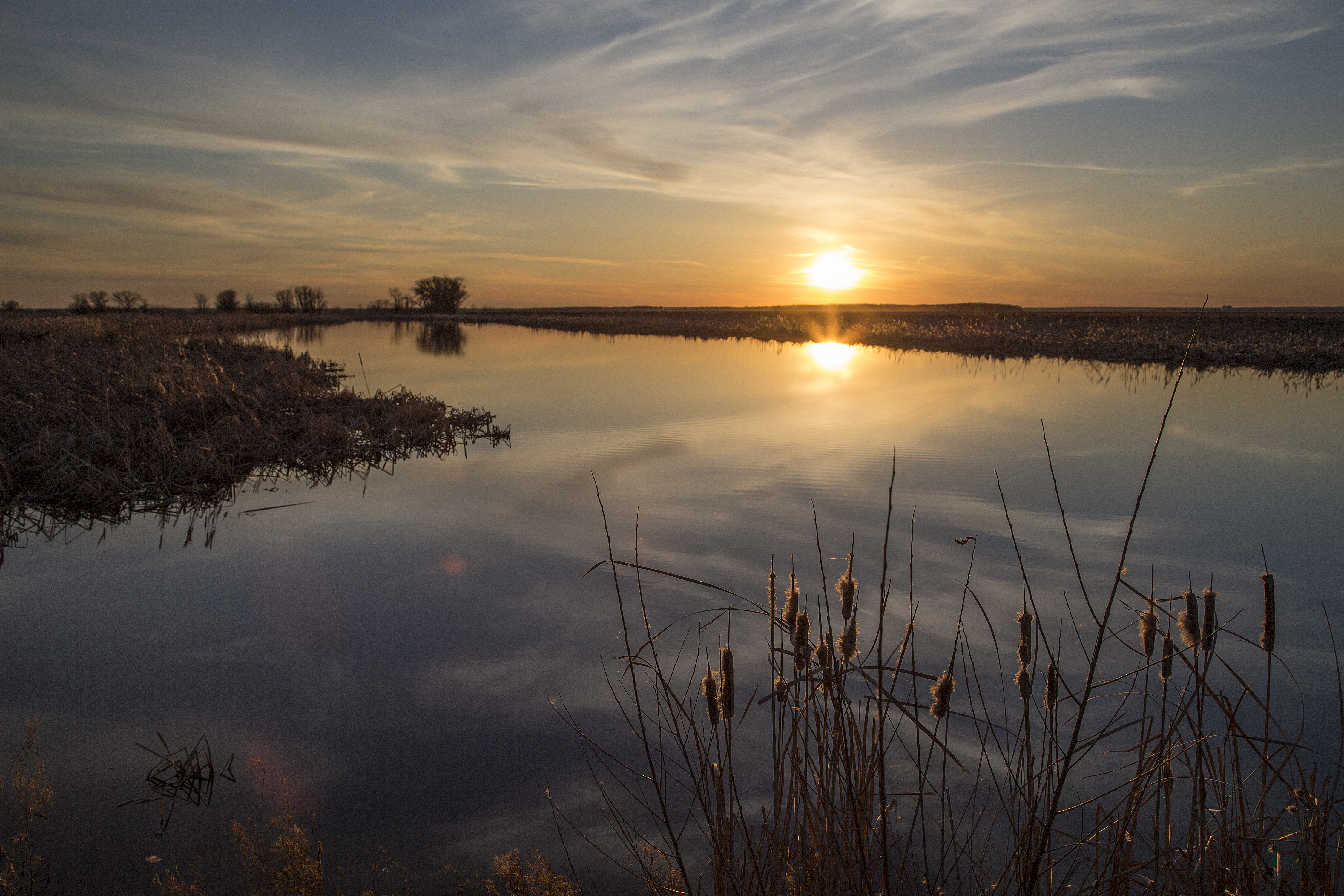 CANARDS ILLIMITÉS CANADA ET LE PROGRAMME DE CONSERVATION DU PATRIMOINE NATUREL