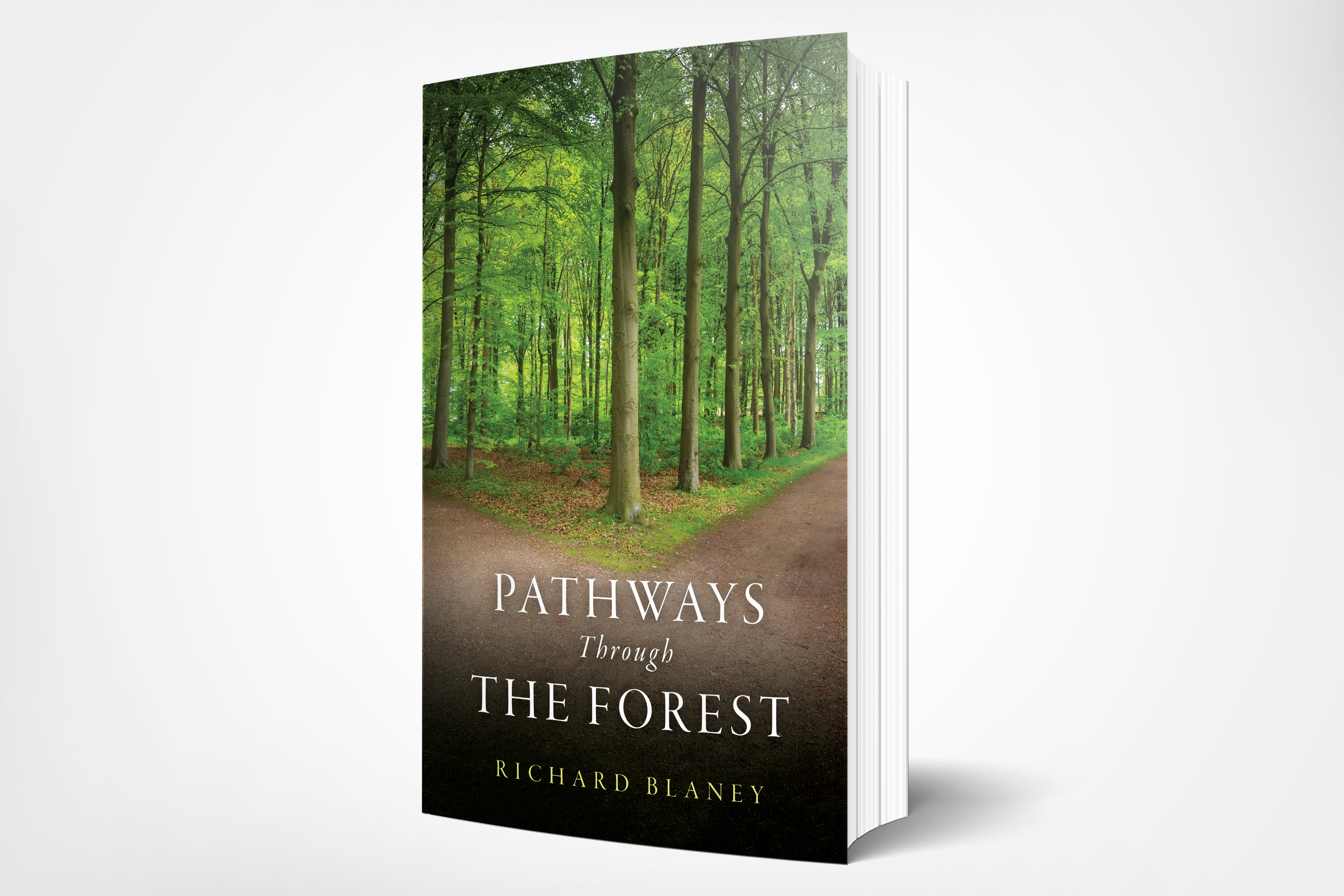 Pathways Through the Forest