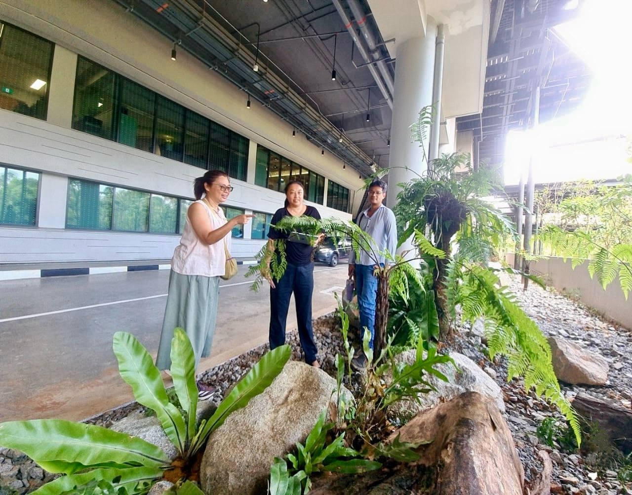 Picture - Singapore’s Green Imprint: GEBE’s Iconic Landscapes