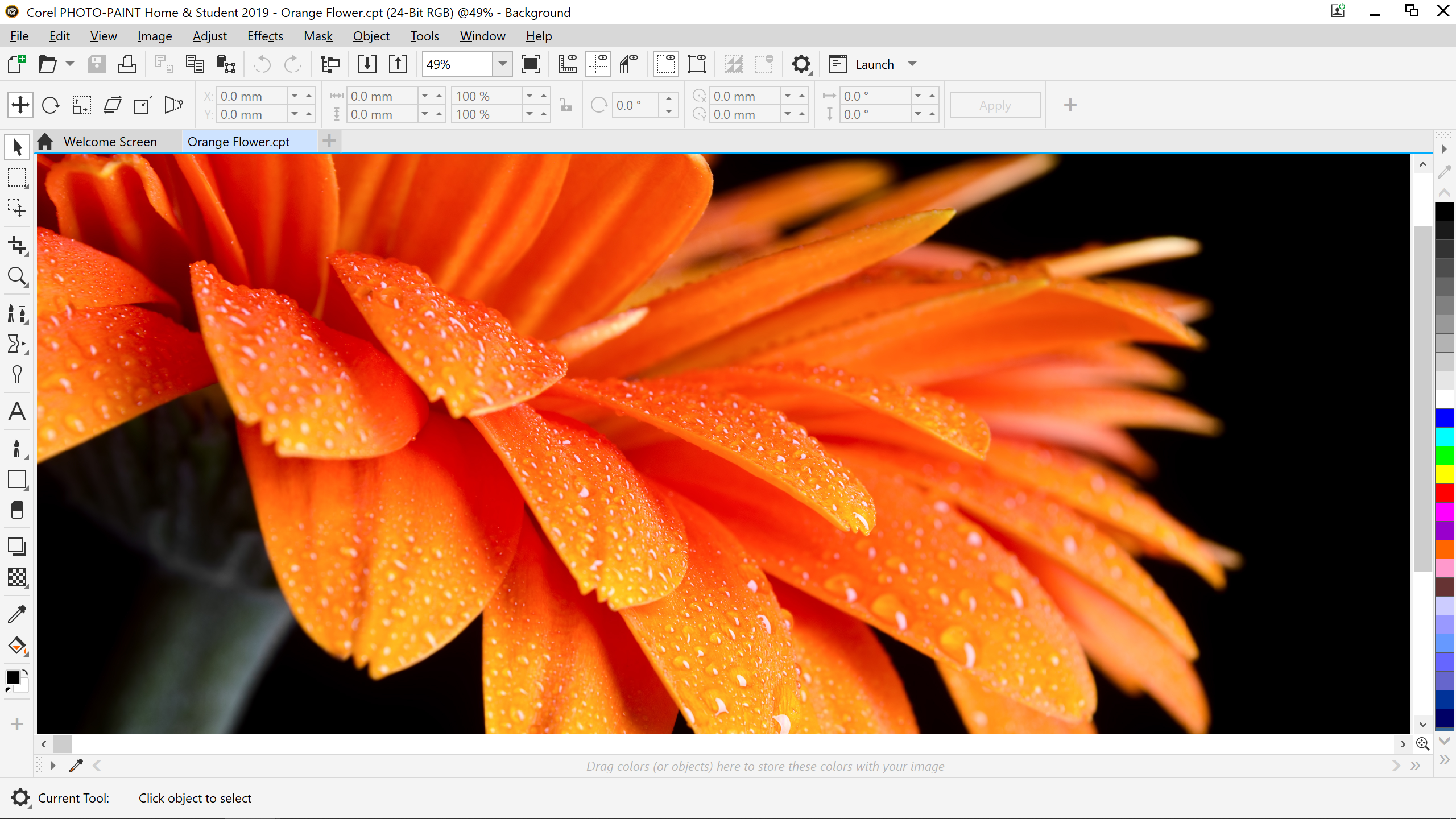 Corel PHOTO-PAINT Home & Student 2019