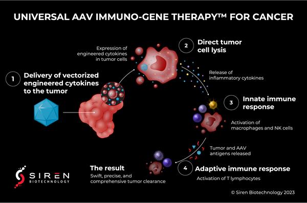 Universal AAV Immuno-Gene Therapy for Cancer