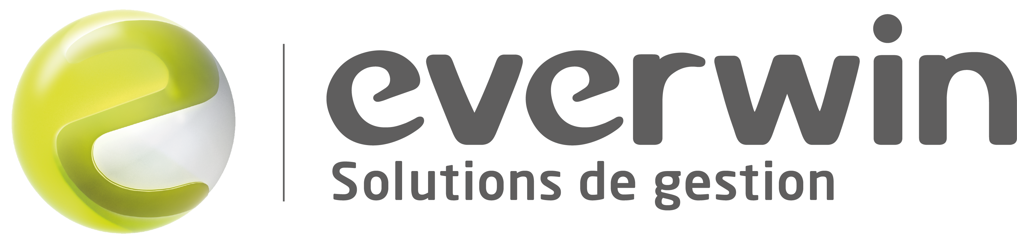 Logo-Everwin.png