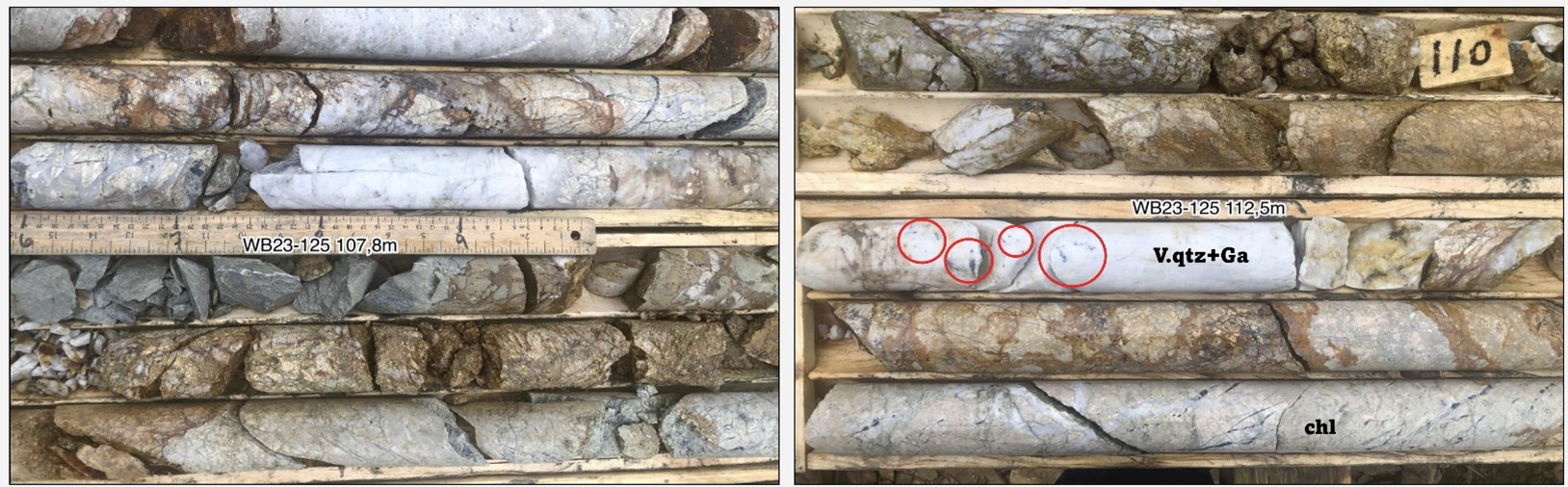 Quartz veins – stockwork with limonite and sulphides @ > 100 m downhole depth (WB23-125)