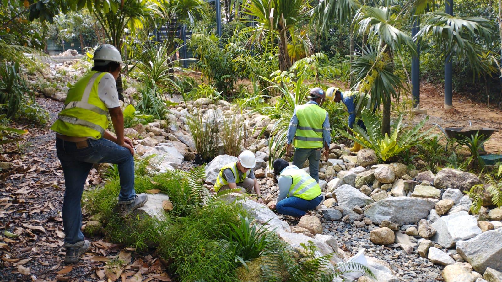 Picture - Precision and Passion: The GEBE Project Management DNA