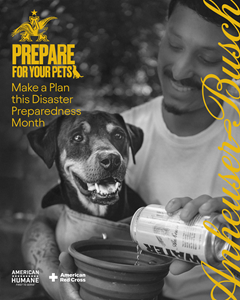 Prepare For Your Pets