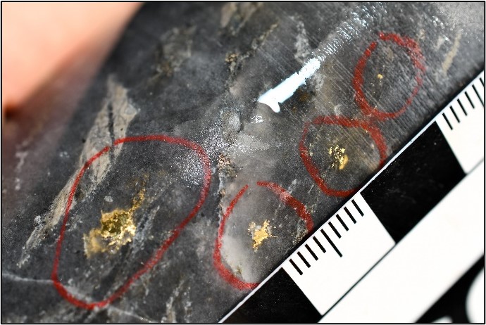 Visible Gold in Drill Hole OB-24-347