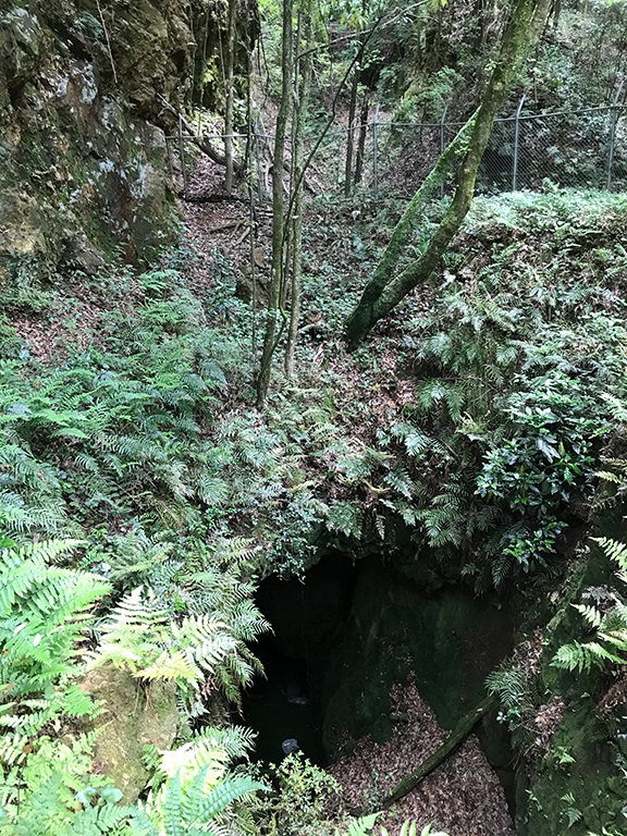 Figure 2 Example of Historic Mine Shaft