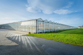 Delta, BC. AgraFlora Greenhouse