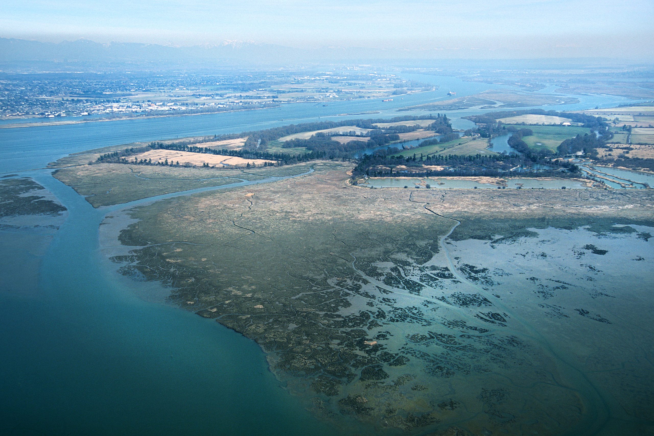 Fraser River Estuary