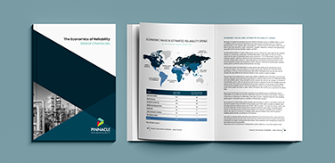 Economics of Reliability - Global Chemicals