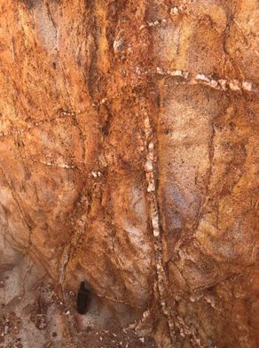 Trenching Program at Fié Trend