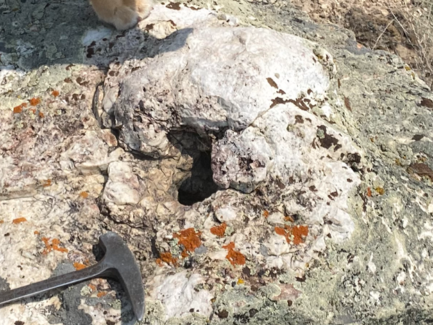 Figure 5 - Interpreted fossilized geyser vent within the Big Opal sinter zone.  Note the silica mound surrounding the vent throat as well as the desic