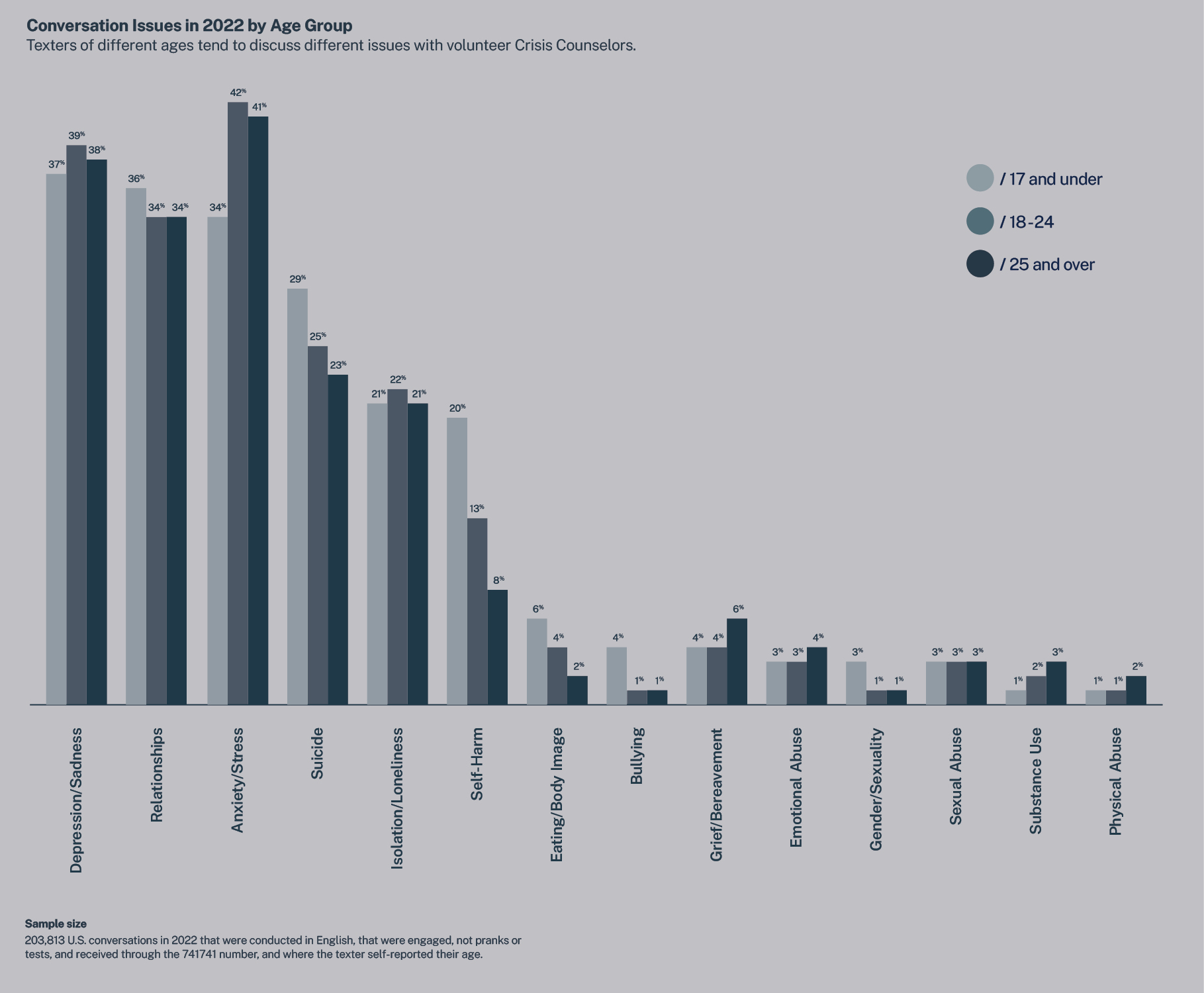 Conversation Issues in 2022 by Age Group