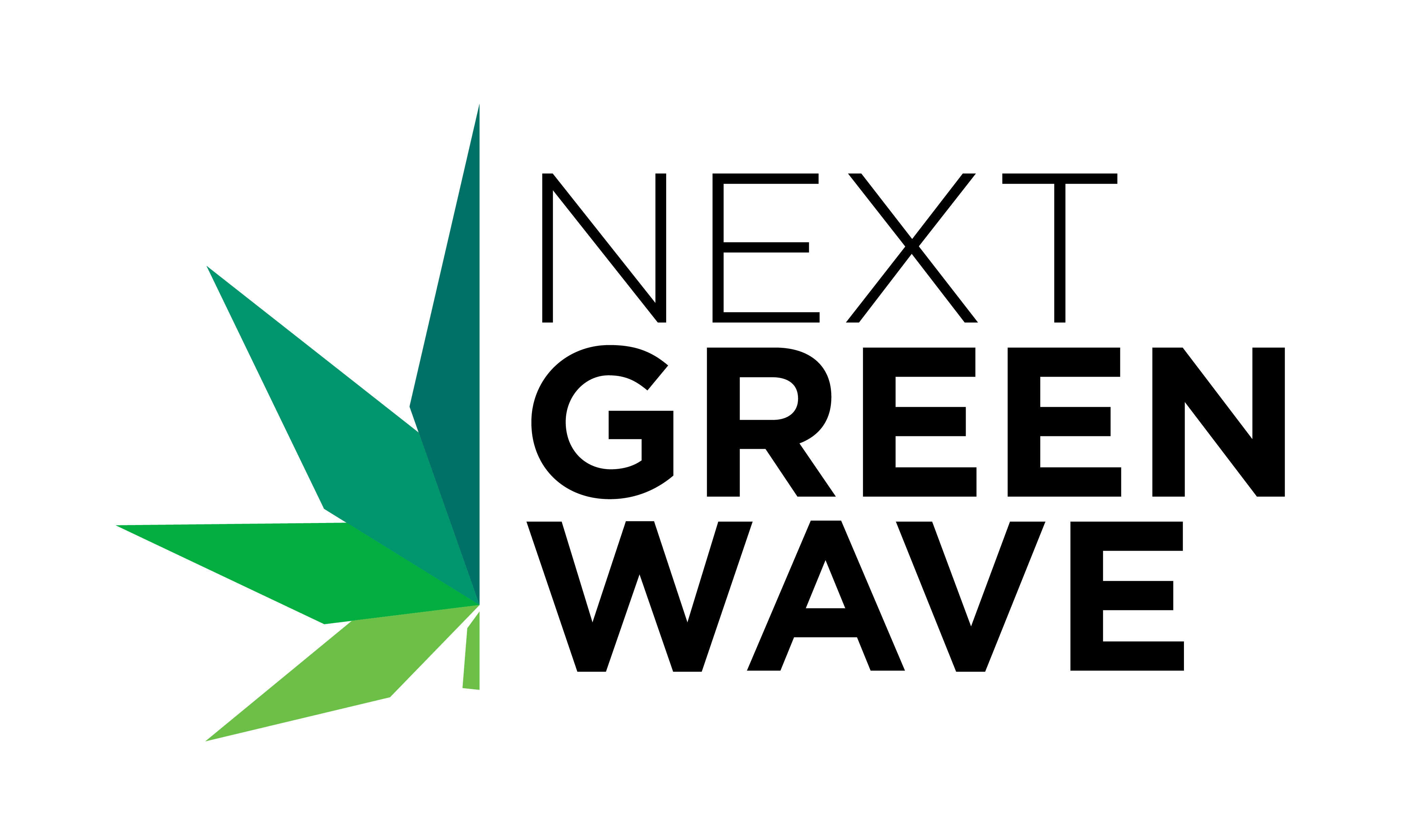 NGW_Logo.png