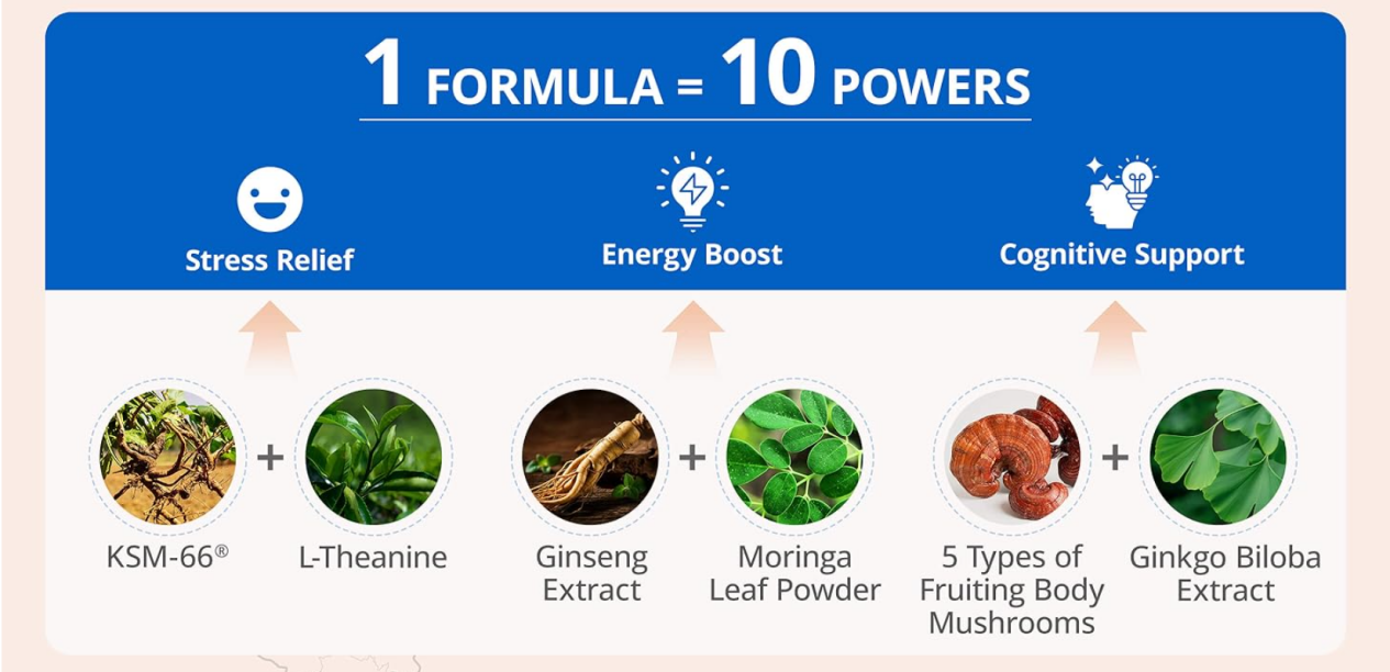 One formula delivering ten benefits stress relief, energy boost, and cognitive support with KSM-66 Ashwagandha and L-Theanine.
