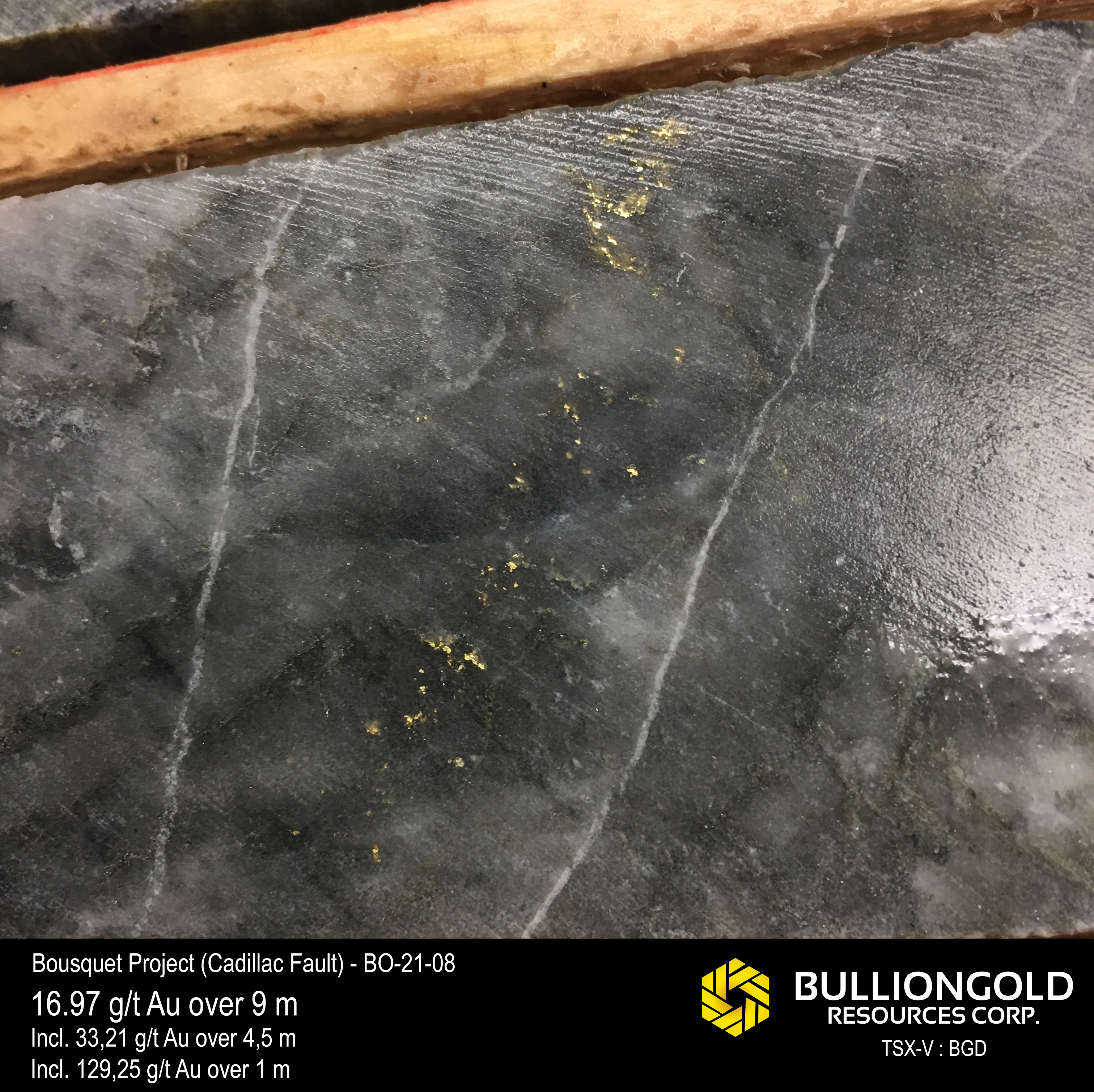 visible_gold_bo2108_v2