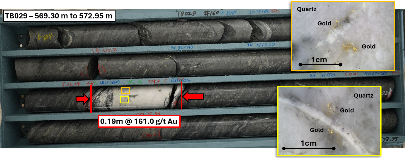 Photograph of True Blue intercept interpreted to be the Bearded Fault from TB029