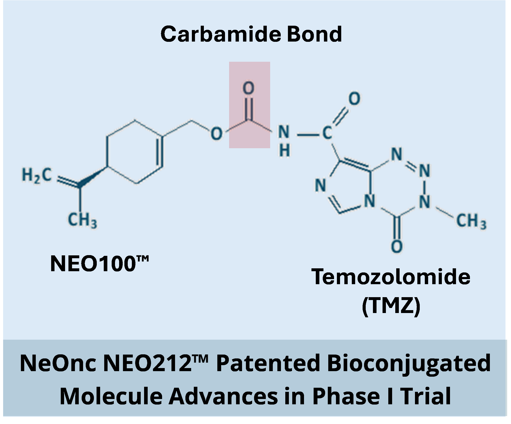 Carbamide Bond