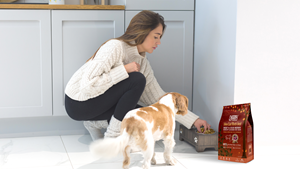 Pamper your dog with holistic food!
