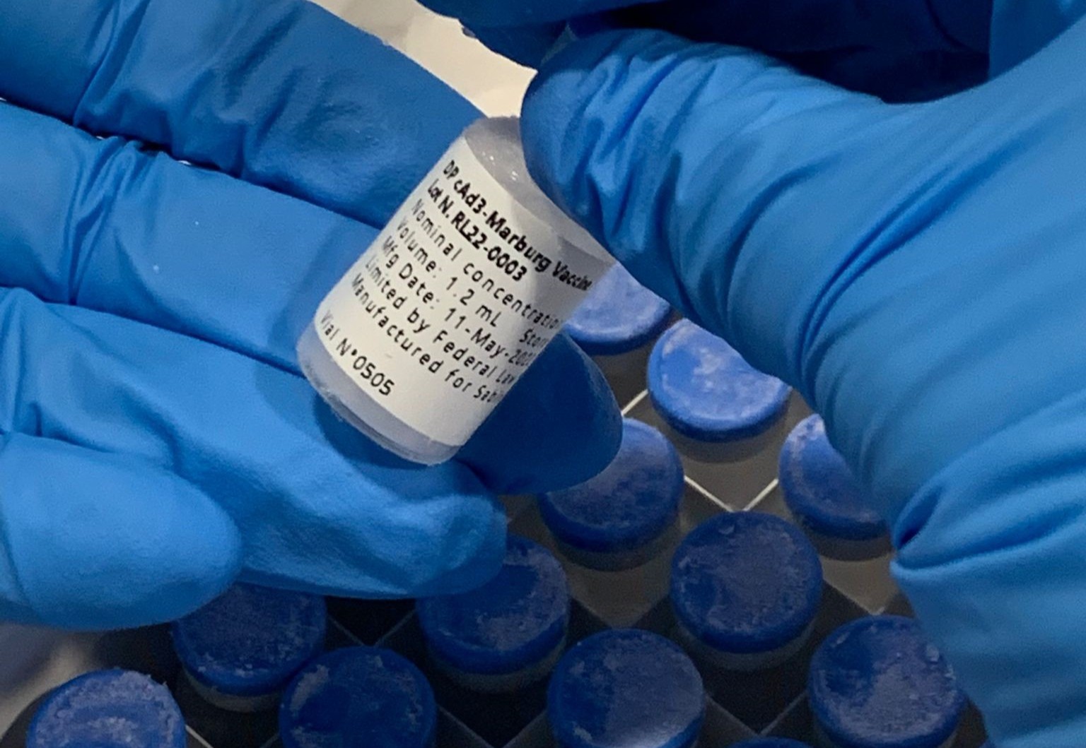 A vial of Sabin Vaccine Institute's investigational cAd3-Marburg Vaccine