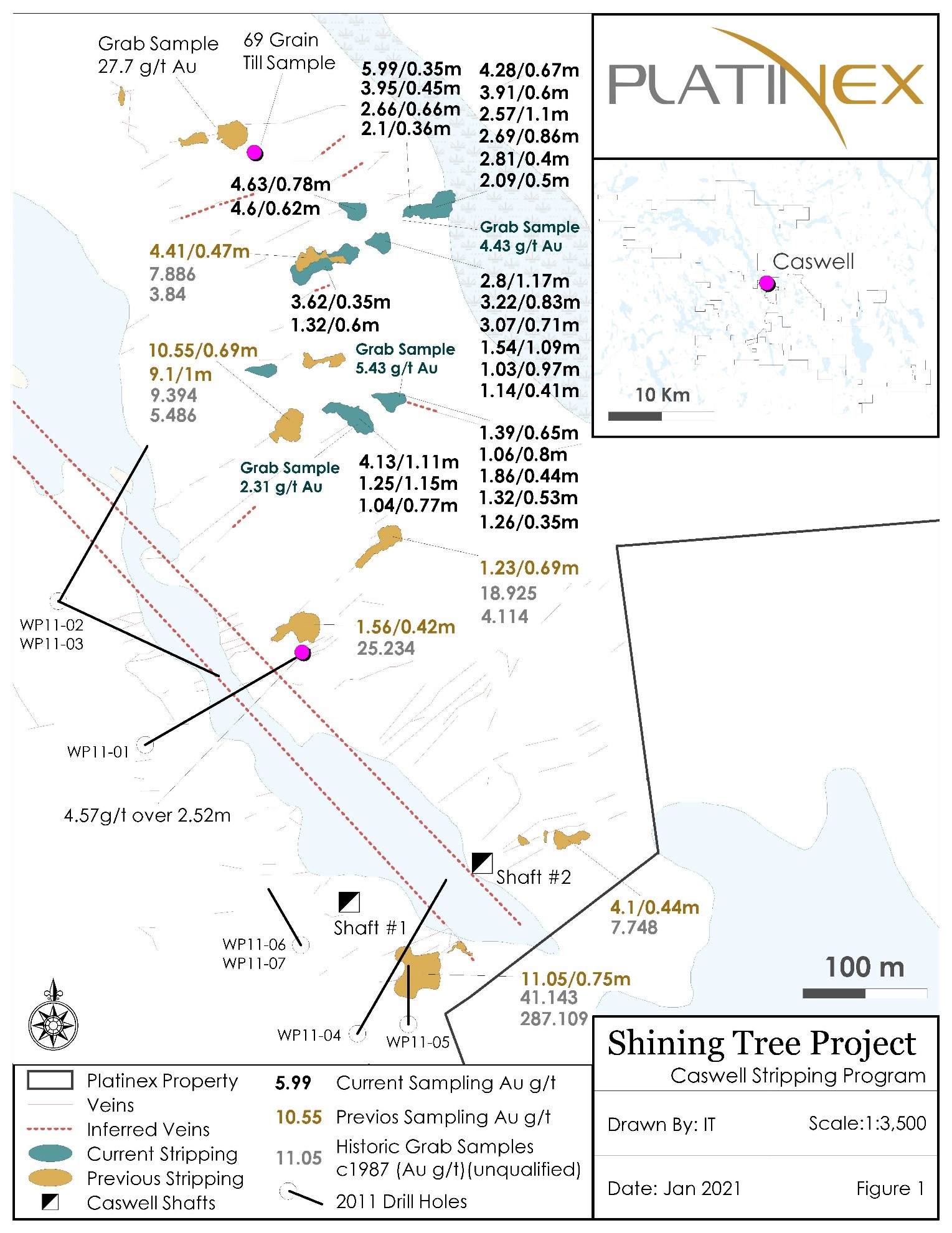 Shining Tree Project