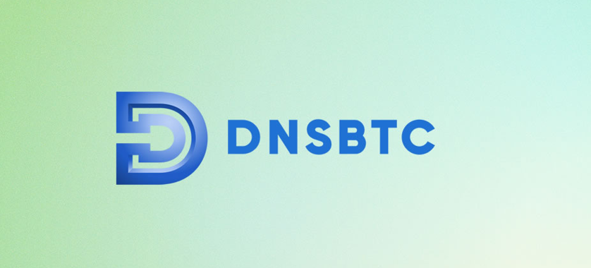 DNSBTC13B.jpg